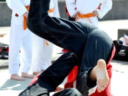 Bilder aus 2011